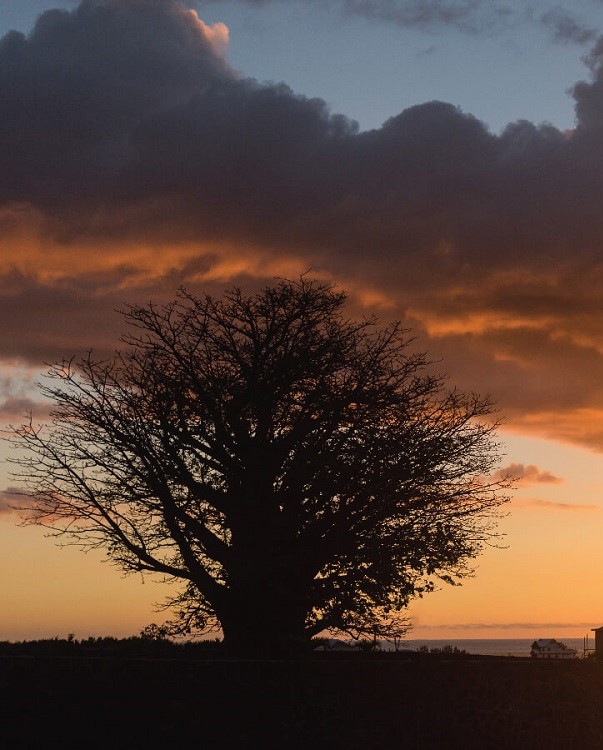 lexproperty1_les_jardins_d_anna